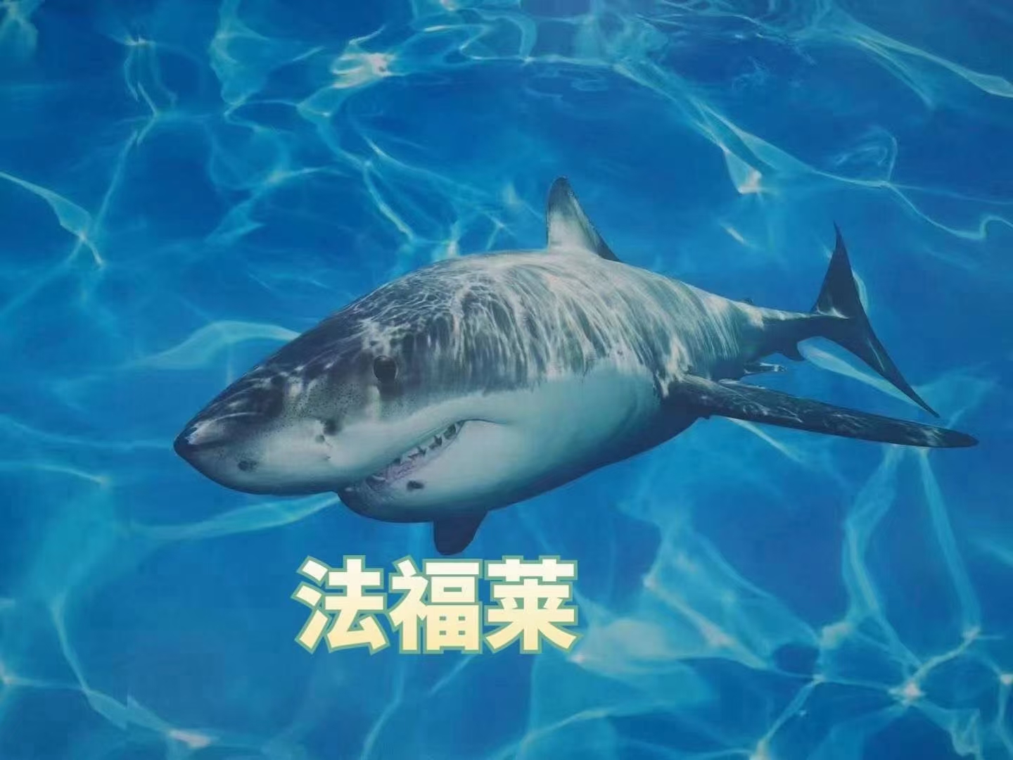 關(guān)于PVC地板的幾項錯誤認知，您有過嗎【騰方PVC地板】